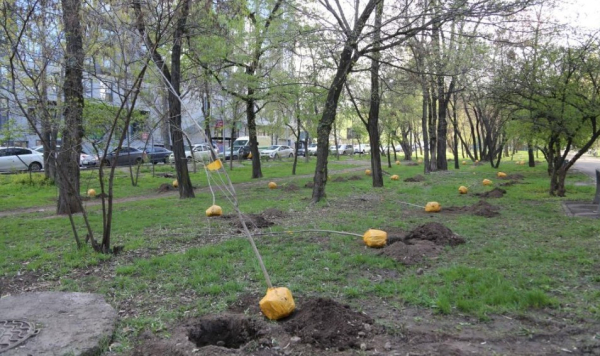 «Таза Казахстан» в Алматы: паспортизация и экологические инициативы