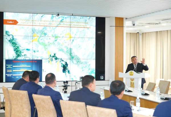 Вокруг Туркестана создадут зеленый пояс Вокруг Туркестана создадут зеленый пояс