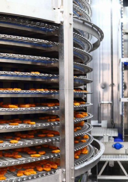 Акмолинская область готова к производству 3300 тонн мяса птицы