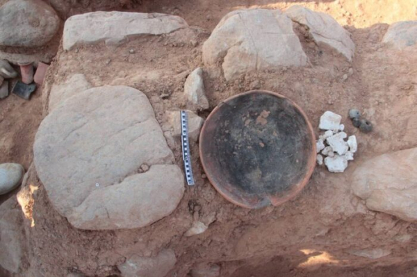 В Казахстане нашли храм и артефакты земледельцев эпохи Кангюй В Казахстане нашли храм и артефакты земледельцев эпохи Кангюй