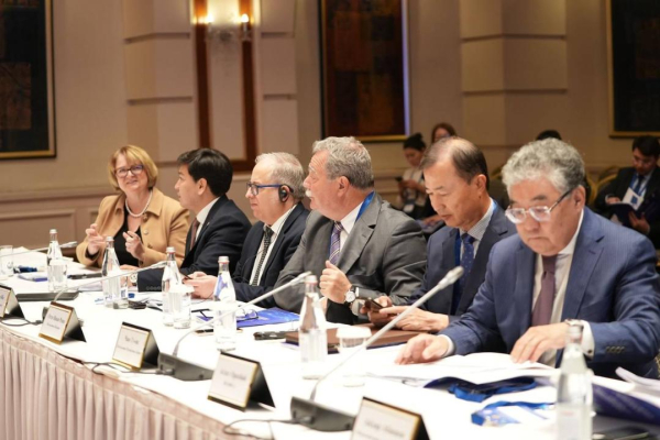 Новый Координационный совет в Казахстане Новый Координационный совет в Казахстане