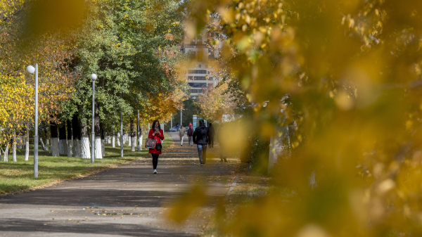 Большей частью без осадков: какой будет погода в Казахстане 10 сентября Большей частью без осадков: какой будет погода в Казахстане 10 сентября