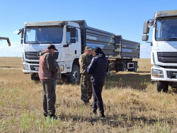 Как костанайцы пытаются ускорить уборку в условиях повышенной влажности | Inbusiness.kz Как костанайцы пытаются ускорить уборку в условиях повышенной влажности | Inbusiness.kz