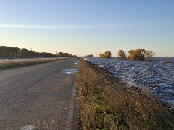 Как костанайцы пытаются ускорить уборку в условиях повышенной влажности | Inbusiness.kz Как костанайцы пытаются ускорить уборку в условиях повышенной влажности | Inbusiness.kz