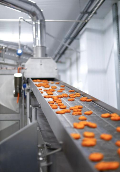 Акмолинская область готова к производству 3300 тонн мяса птицы