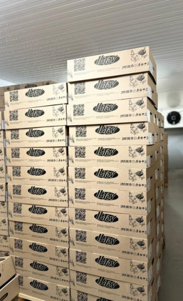 Акмолинская область готова к производству 3300 тонн мяса птицы