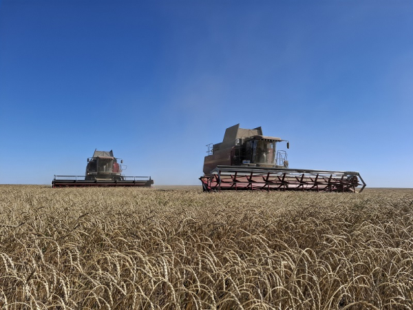 Как костанайцы пытаются ускорить уборку в условиях повышенной влажности | Inbusiness.kz Как костанайцы пытаются ускорить уборку в условиях повышенной влажности | Inbusiness.kz