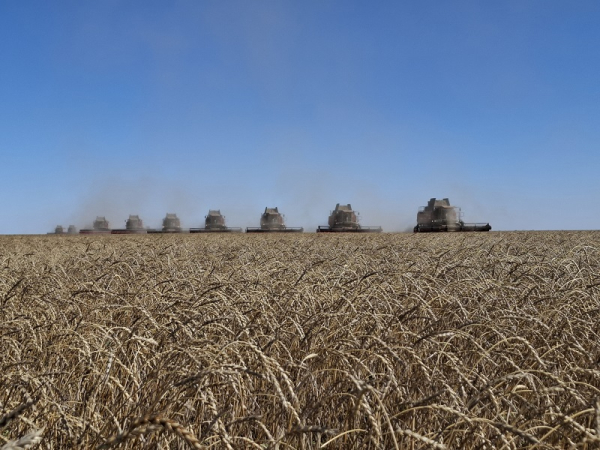 Как костанайцы пытаются ускорить уборку в условиях повышенной влажности | Inbusiness.kz Как костанайцы пытаются ускорить уборку в условиях повышенной влажности | Inbusiness.kz