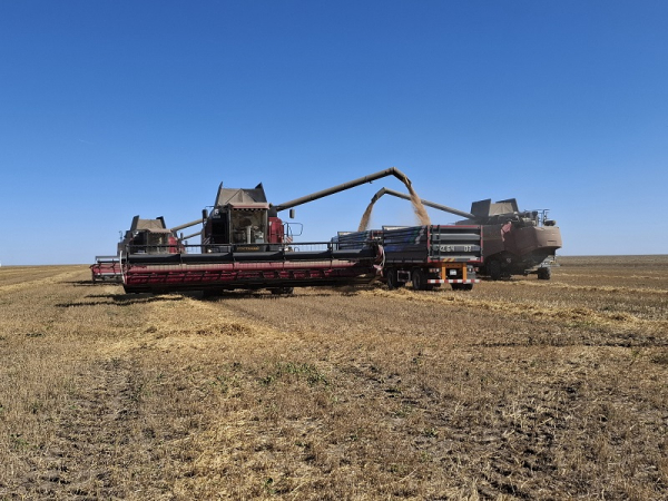 Как костанайцы пытаются ускорить уборку в условиях повышенной влажности | Inbusiness.kz Как костанайцы пытаются ускорить уборку в условиях повышенной влажности | Inbusiness.kz