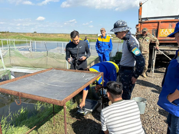 В реки Карагандинской области выпущены мальки карпа В реки Карагандинской области выпущены мальки карпа