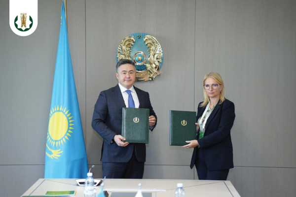 Новый этап финансового взаимодействия Казахстана и Грузии