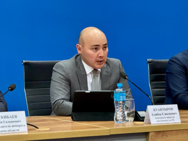 Перспективы Жетысу: как регион планирует привлекать инвесторов Перспективы Жетысу: как регион планирует привлекать инвесторов