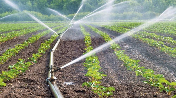 Казахстан обеспечил водой миллионы гектаров полей Казахстан обеспечил водой миллионы гектаров полей