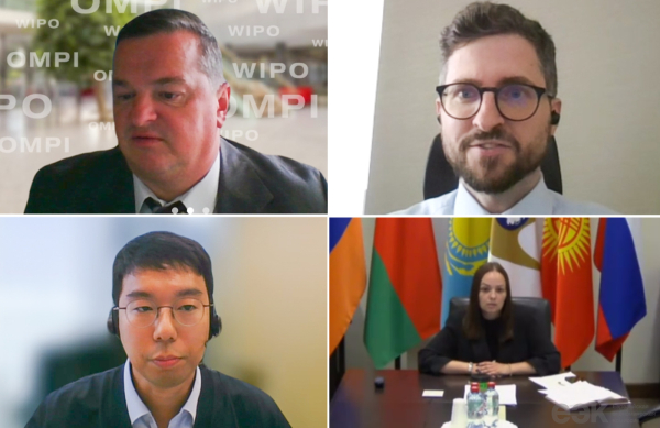 ЕЭК и ВОИС: защита прав интеллектуальной собственности