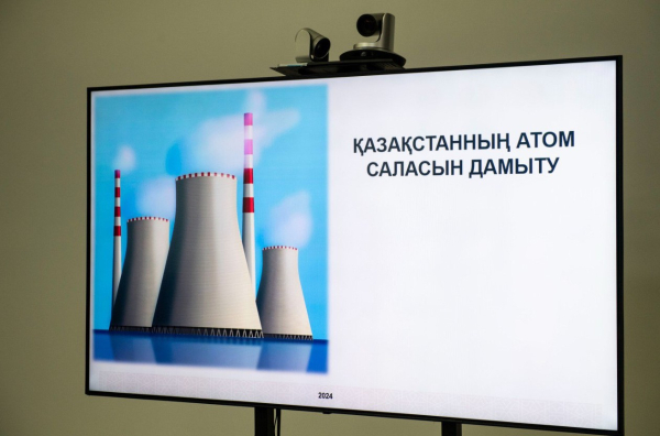 Экспертный клуб «SARAP» обсудил проблемы энергодефицита и развития атомной отрасли Экспертный клуб «SARAP» обсудил проблемы энергодефицита и развития атомной отрасли