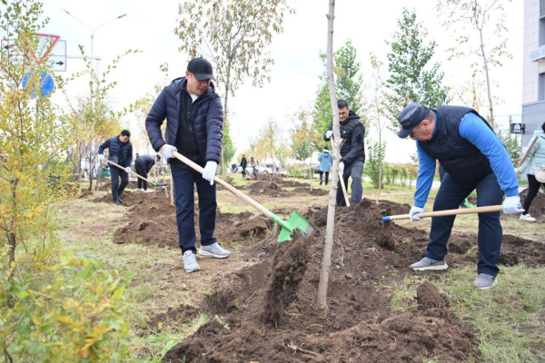 Коллектив АДГС провел работы по благоустройству и озеленению Коллектив АДГС провел работы по благоустройству и озеленению