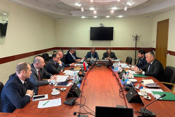 ЕАЭСи Беларусь: формирование общих рынков энергоресурсов