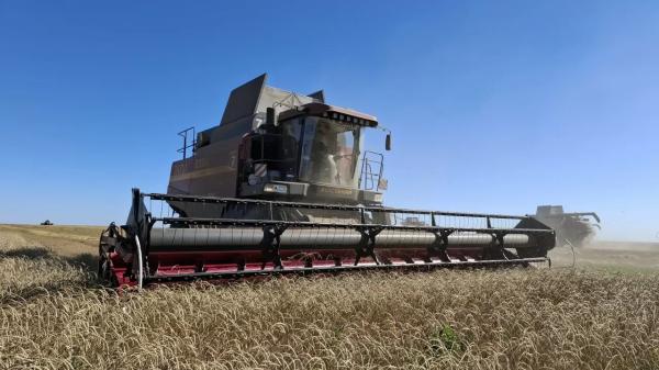 Как костанайцы пытаются ускорить уборку в условиях повышенной влажности | Inbusiness.kz Как костанайцы пытаются ускорить уборку в условиях повышенной влажности | Inbusiness.kz