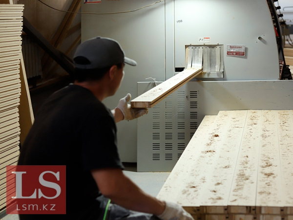 На севере Казахстана хотят наладить глубокую переработку древесины На севере Казахстана хотят наладить глубокую переработку древесины