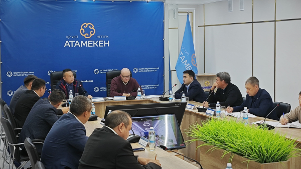 Костанайцам предложили вместо пшеницы выращивать кукурузу | Inbusiness.kz