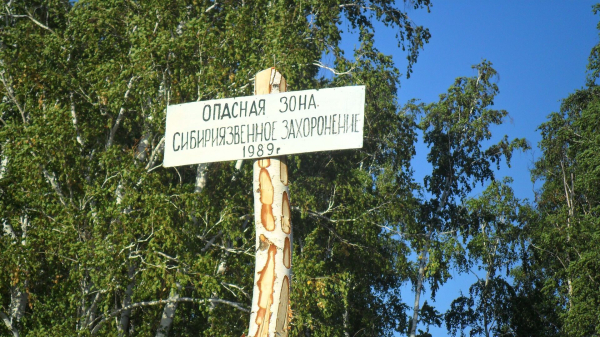 Подозревают сибирскую язву: четыре случая обнаружили в Алматинской области