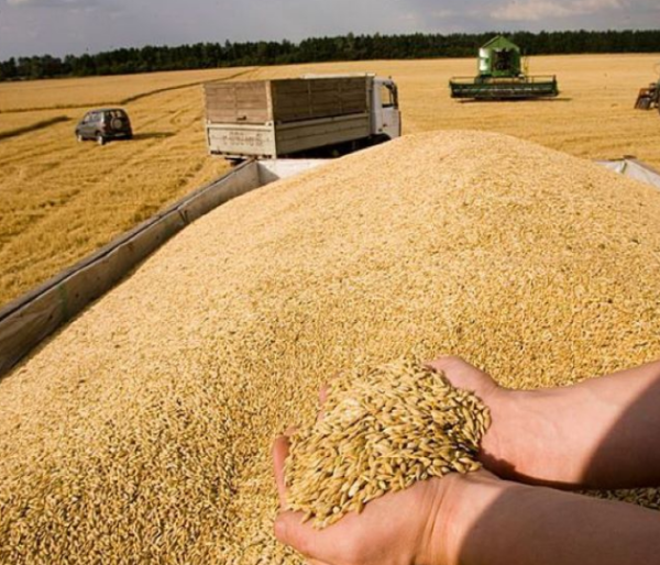 Казахстан и Россия обсудят запрет на импорт зерна Казахстан и Россия обсудят запрет на импорт зерна