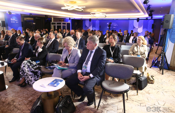 ЕАЭС: техническое регулирование электронной торговли ЕАЭС: техническое регулирование электронной торговли