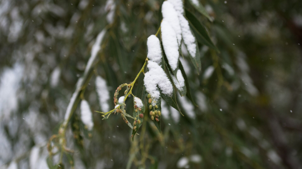 Какая погода будет в Казахстане 15 октября Какая погода будет в Казахстане 15 октября