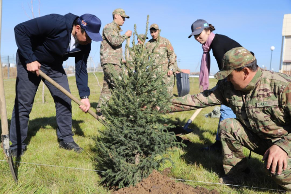 Зеленый субботник в МЧС
