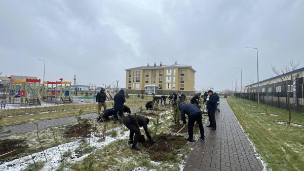 МЧС продолжает акцию по посадке хвойных деревьев