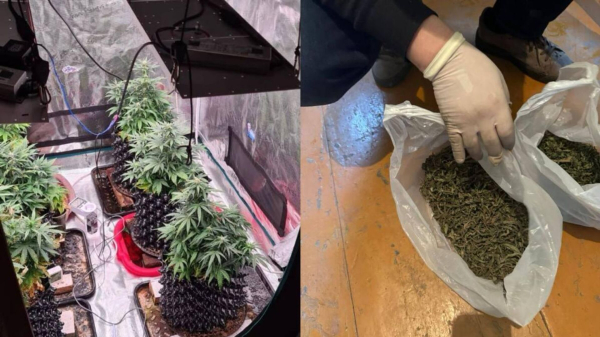 Интернет-магазин по продаже наркотиков ликвидировали в Восточно-Казахстанской области Интернет-магазин по продаже наркотиков ликвидировали в Восточно-Казахстанской области