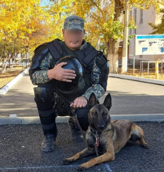 Как служат собаки в Нацгвардии МВД РК Как служат собаки в Нацгвардии МВД РК