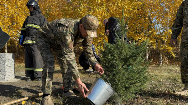 В ВКО открыли Аллею спасателей В ВКО открыли Аллею спасателей