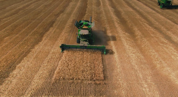 Аграрии Акмолинской области намолотили рекордный урожай зерна