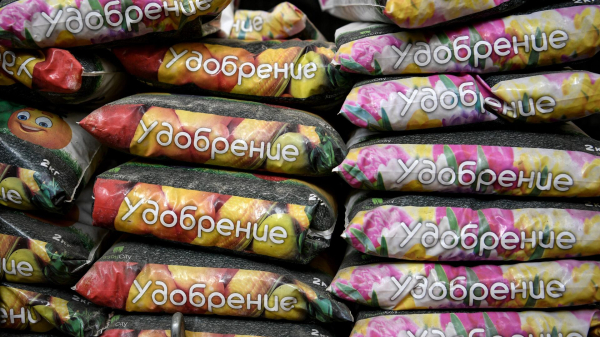 Казахстан начал поставлять в Афганистан энергетики и удобрения Казахстан начал поставлять в Афганистан энергетики и удобрения