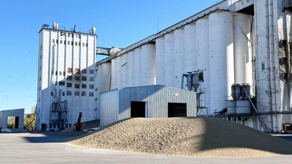 В Северном Казахстане завершена уборка: намолочено 5,6 млн тонн зерна