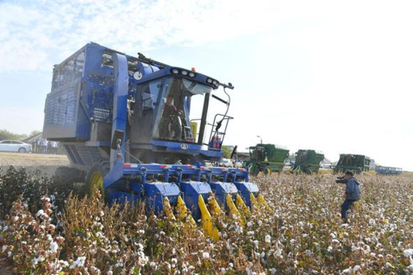 В Мактаарале будет развиваться хлопково-текстильный кластер