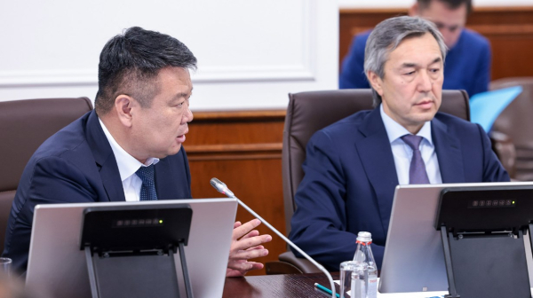 Диверсификация экономики и развитие новых точек роста