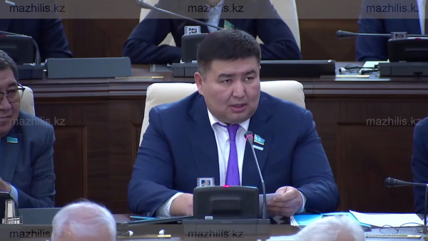 Депутат выступил с резкой критикой страховых компаний Казахстана Депутат выступил с резкой критикой страховых компаний Казахстана