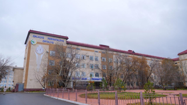 В Астане 16 малышей появились на свет в День Республики В Астане 16 малышей появились на свет в День Республики