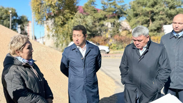 В Северном Казахстане завершена уборка: намолочено 5,6 млн тонн зерна