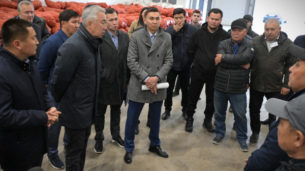 Молоко и зерно: Павлодарская область развивает агропромышленный комплекс Молоко и зерно: Павлодарская область развивает агропромышленный комплекс