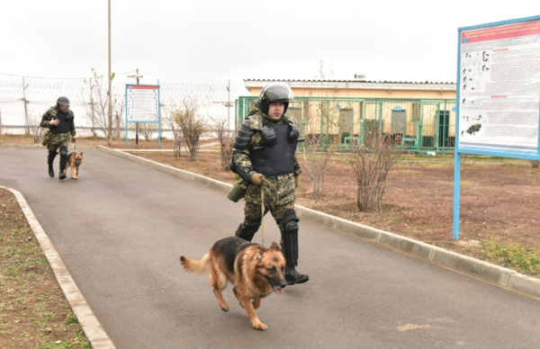 Как служат собаки в Нацгвардии МВД РК Как служат собаки в Нацгвардии МВД РК