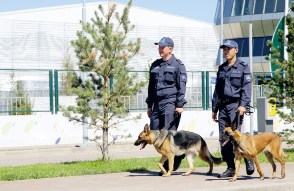 Как служат собаки в Нацгвардии МВД РК Как служат собаки в Нацгвардии МВД РК