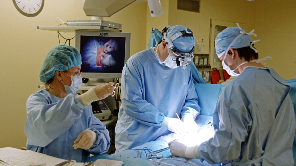 1708 операций провели казахстанским детям на открытом сердце с начала года 1708 операций провели казахстанским детям на открытом сердце с начала года