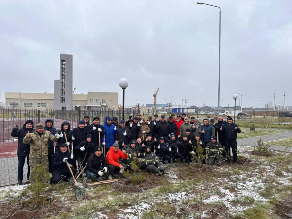 МЧС продолжает акцию по посадке хвойных деревьев
