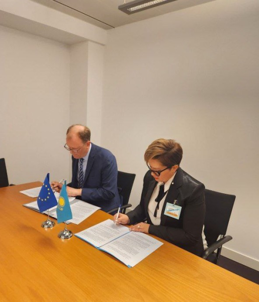 Казахстан и ЕС наращивают авиационное сотрудничество