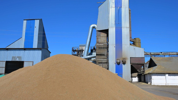 Казахстан сможет торговать с ЕАЭС сельхозпродукцией за счёт складских свидетельств Казахстан сможет торговать с ЕАЭС сельхозпродукцией за счёт складских свидетельств