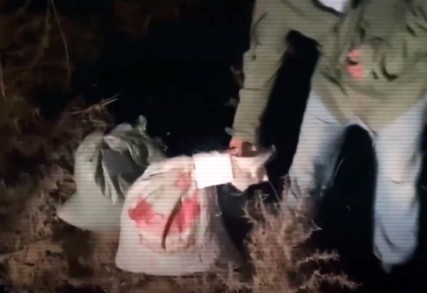 В Шу задержаны сборщики дикорастущей конопли В Шу задержаны сборщики дикорастущей конопли