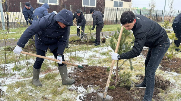 МЧС продолжает акцию по посадке хвойных деревьев